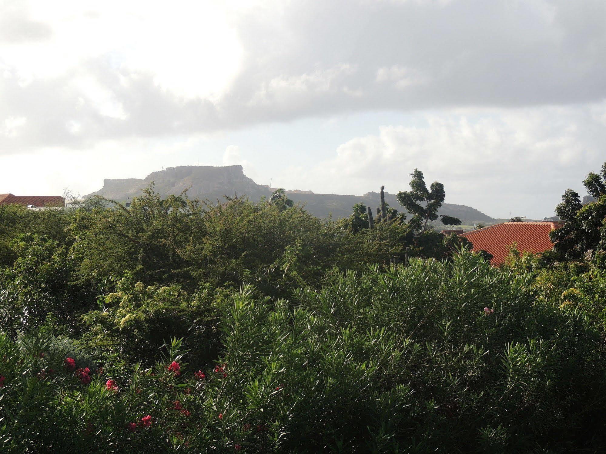 Sun Sea Sleep B&B Willemstad Zewnętrze zdjęcie